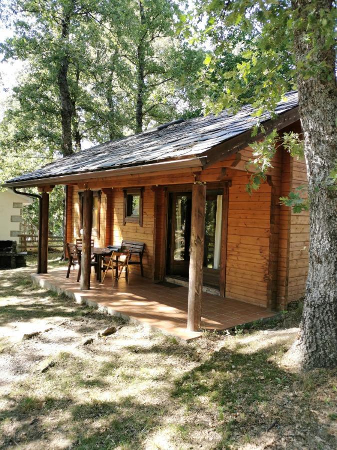 La Albarina Konuk evi Galende Dış mekan fotoğraf