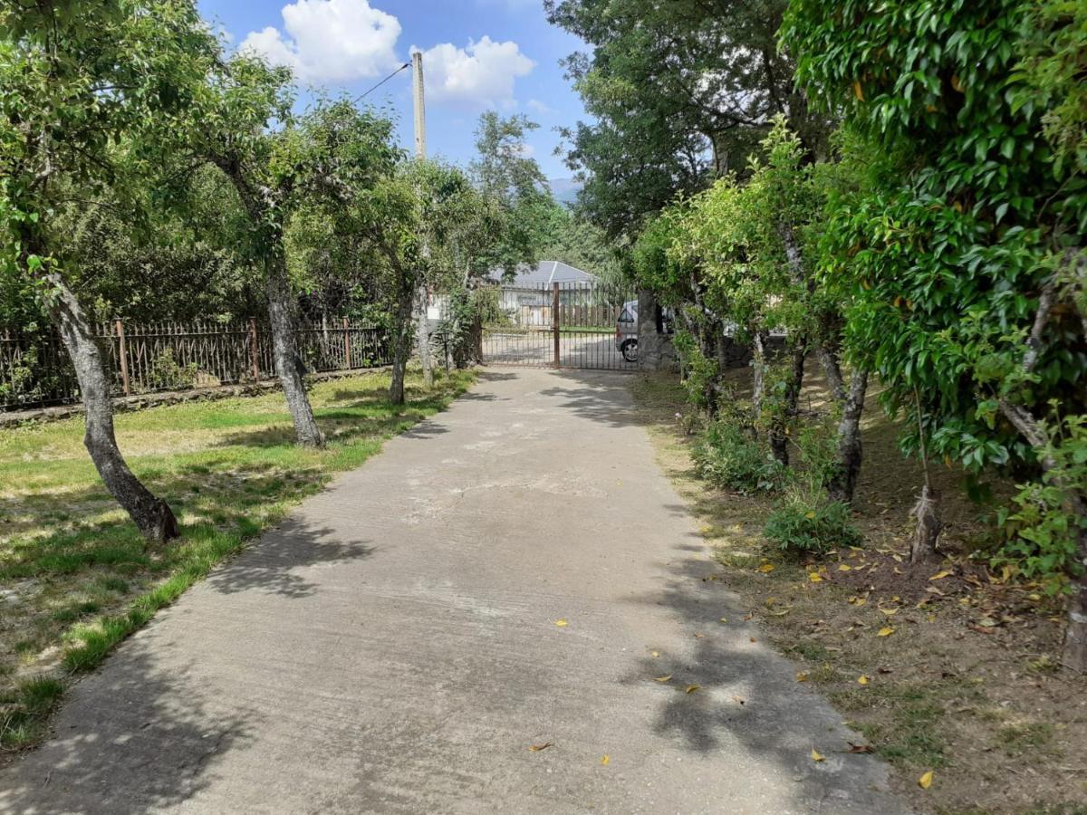 La Albarina Konuk evi Galende Dış mekan fotoğraf