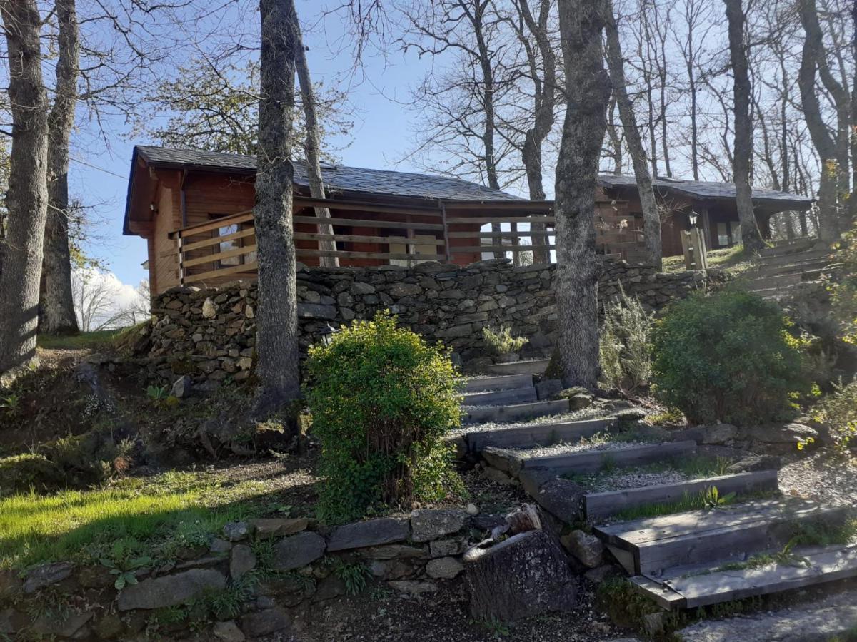 La Albarina Konuk evi Galende Dış mekan fotoğraf