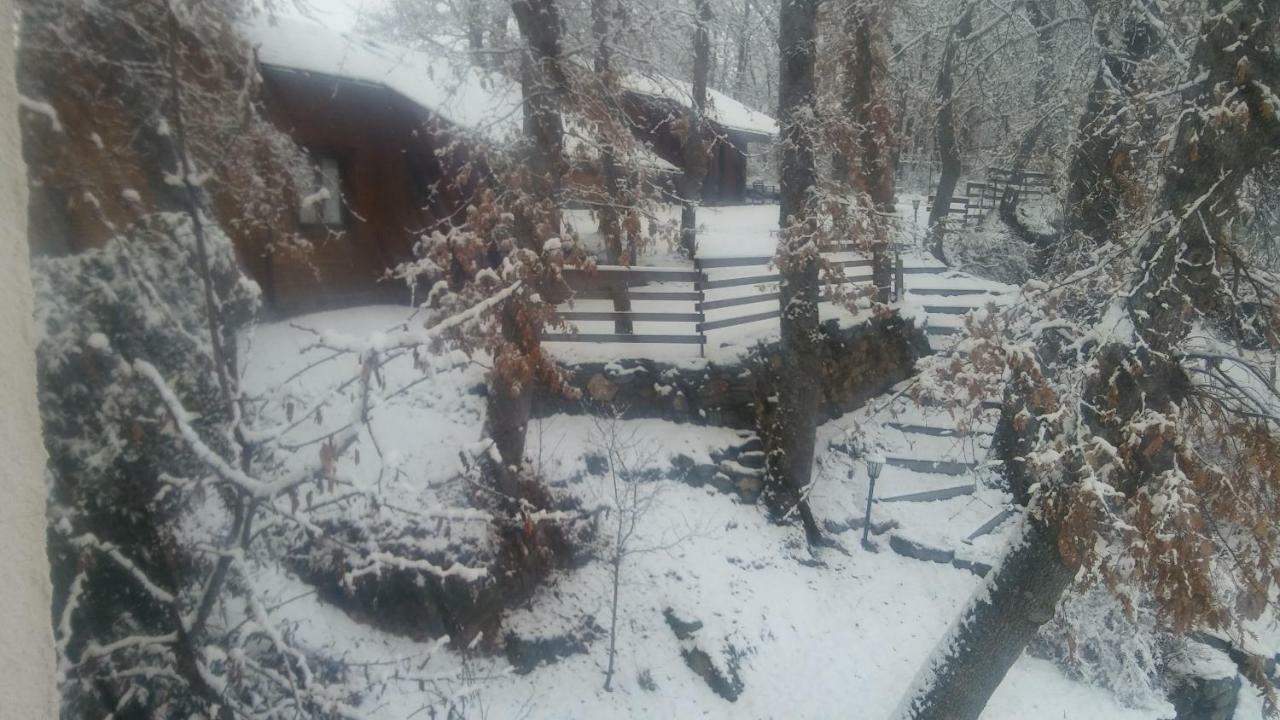 La Albarina Konuk evi Galende Dış mekan fotoğraf